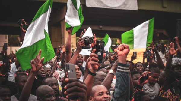 How do party primaries work in Nigeria?